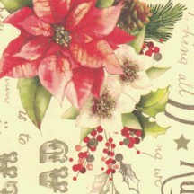 Poinsettia and Scripts Christmas Paper ~ Kartos Italy
